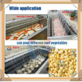 Potato Peeling Machine, Potato Peeler, Fish Skin Peeler Mstp-80